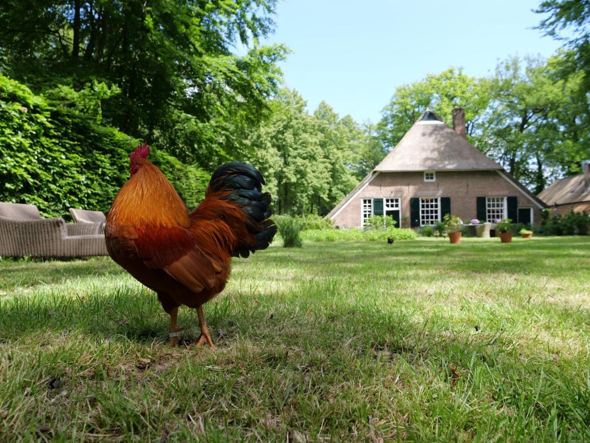 Frühstückspension Landgoedhoeve Vosbergen 2*